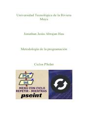 Ciclos PSeInt.pdf