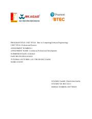 TranHaiDang(BKC12131)-Assigment2 lần1-Professional Practice .docx