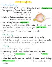 Structure of Eye.pdf