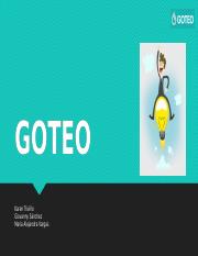 GOTEO (1).pptx