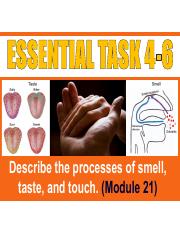Essential+Task+4-6 (1).pdf