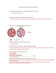The Human Body- Disease & Disorder Worksheet (3).pdf