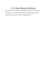 11.11 Quiz.pdf