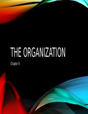 The Organization.pptx