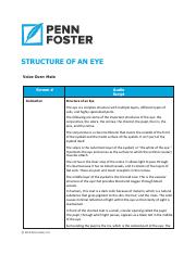 STRUCTURE OF AN EYE.pdf