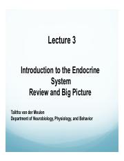 Lecture 3 - Intro to Endocrine I (1).pdf