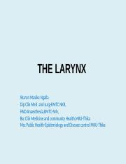 THE LARYNX.pptx
