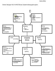 Ecosystem Services graphic organizer - student.pdf