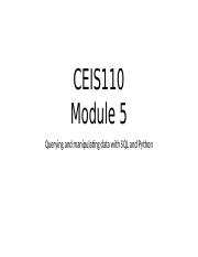 CEIS1110_Module5_Project_Template.pptx
