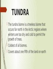 TUNDRA.pptx