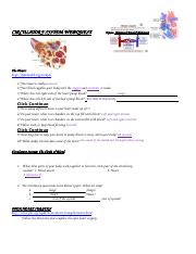 circulatory system webquest.doc