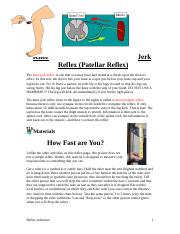 patellar reflex lab report