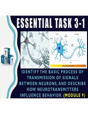 Essential_Task_3-1.pdf