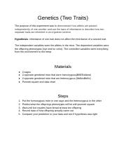 lab report_ Mouse Genetics (Two Traits) (1).docx