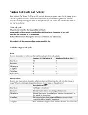 03_01_virtual_cell_cycle_lab_report_template.docx