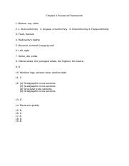 Answers_Chaper_4_Structural Framework(1).docx