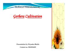 Gerbera Technical Presentation1.pdf