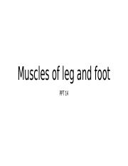 14. Muscles of leg and foot.pptx