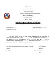 birth certificate template 12.doc