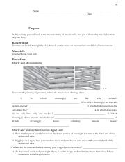 lab 5 (1).pdf