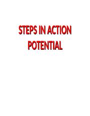 steps in action potential.ppt
