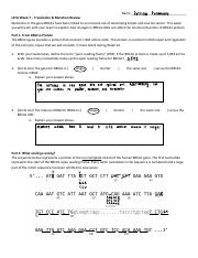 Week 7 Translation  Mutation Review Worksheet Zoom.pdf