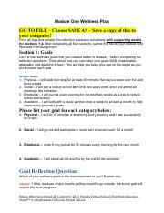module_one_wellness_plan (1).pdf