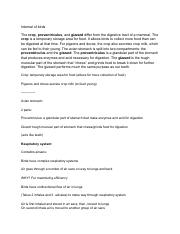 Systematic birds midterm quiz study.pdf