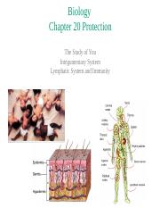 Biology chapter 20 Protection (1).pptx