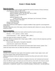 AP 2- Exam 1 SG.pdf