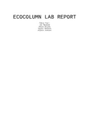 ecocolumn