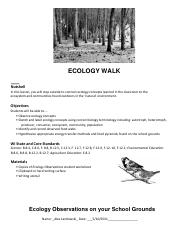 Ecology+Walk-Field+Notes.pdf