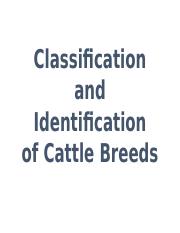 Cattle Breeds (1).ppt