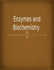 Enzymes (lesson 5).pptx