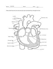 Ziyao Jiang - Heart Labeling Document.docx.pdf