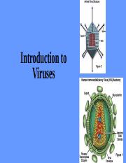 Viruses, Viroids and Prions.ppt