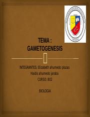 esposicion gametogenesis biologia.pptx