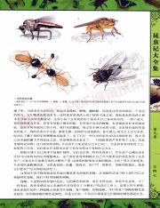 昆虫记_356.pdf