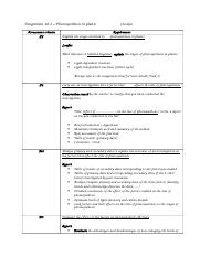 Assignment 10.3 checklist.docx