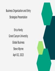 Business Organization and Entry Strategies Presentation.pptx