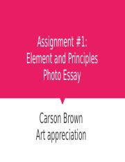 Assignment#1_Brown,Carson.pptx