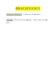 Brachylogy.pdf