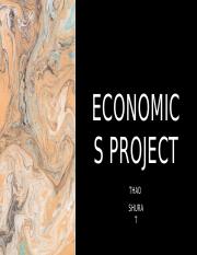 economics project.pptx