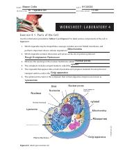 Lab 4 - Worksheet EDITED (1).pdf