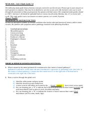 Study Guide 7-8-motor systems.docx
