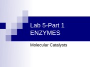 Lab 5-1-Enzymes-F2013-2