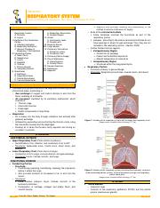 HIST-A-S02-T04-Respiratory-System .pdf