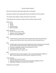 11-08-16 AP Lecture notes.pdf