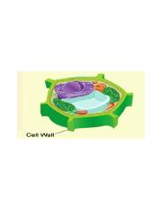 Cell-Wall-480x250.jpg