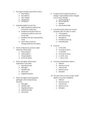Chapter 13 questions.pdf